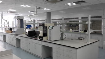 工業(yè)凈化與實(shí)驗(yàn)設(shè)備 包頭鋼木通風(fēng)柜與全鋼實(shí)驗(yàn)臺廠家的專業(yè)指南